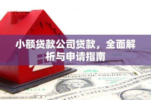 官田小额贷款公司贷款，全面解析与申请指南