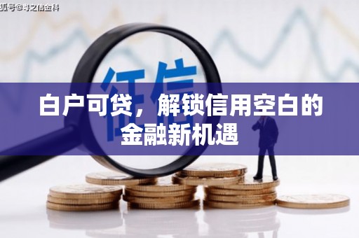 官田白户可贷，解锁信用空白的金融新机遇