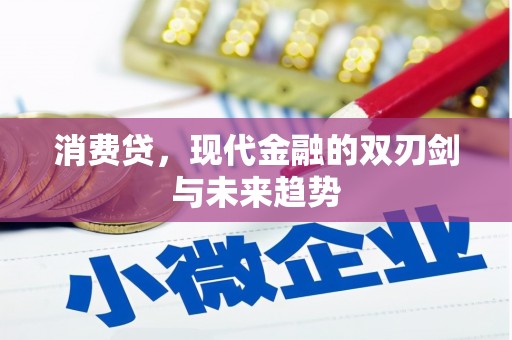 官田消费贷，现代金融的双刃剑与未来趋势