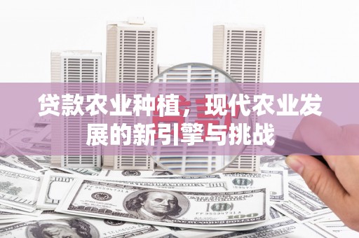 官田贷款农业种植，现代农业发展的新引擎与挑战