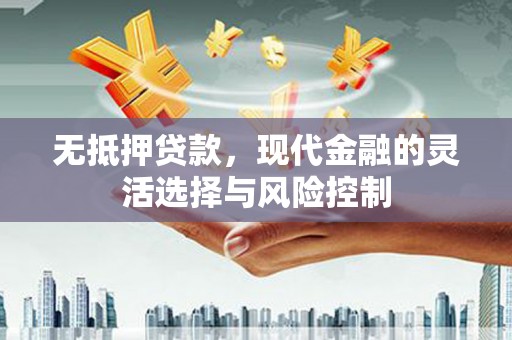 官田无抵押贷款，现代金融的灵活选择与风险控制