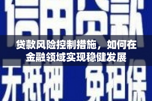 官田贷款风险控制措施，如何在金融领域实现稳健发展