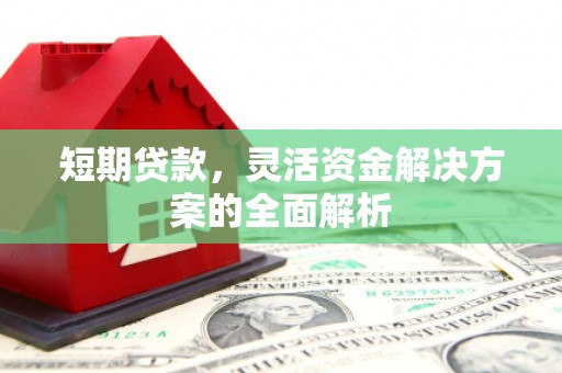 官田短期贷款，灵活资金解决方案的全面解析