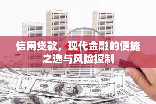 官田信用贷款，现代金融的便捷之选与风险控制