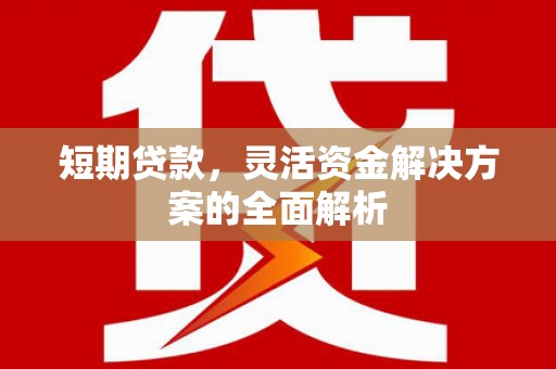 官田短期贷款，灵活资金解决方案的全面解析
