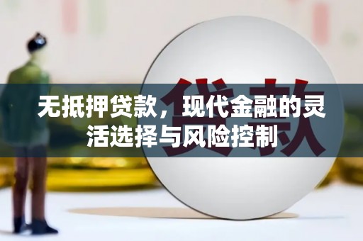 官田无抵押贷款，现代金融的灵活选择与风险控制