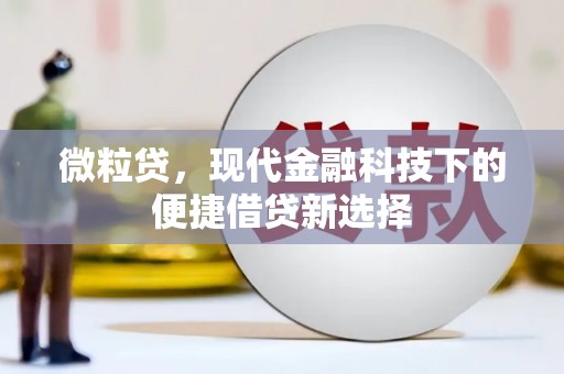 官田微粒贷，现代金融科技下的便捷借贷新选择
