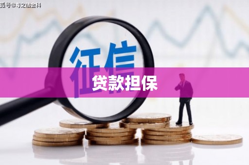 官田贷款担保