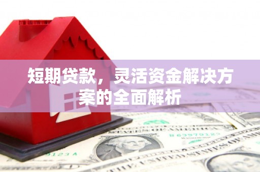官田短期贷款，灵活资金解决方案的全面解析