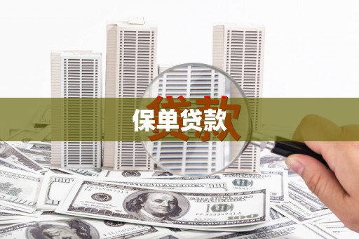 官田保单贷款