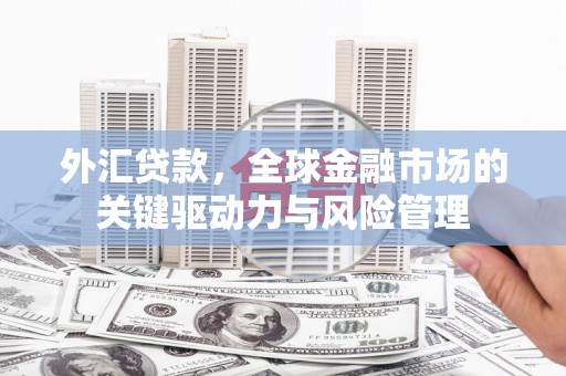 官田外汇贷款，全球金融市场的关键驱动力与风险管理