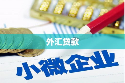 官田外汇贷款