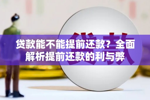 官田贷款能不能提前还款？全面解析提前还款的利与弊