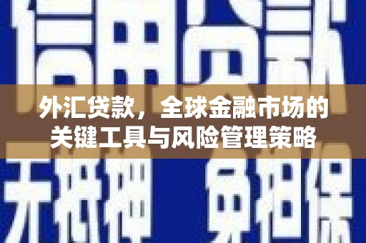 官田外汇贷款，全球金融市场的关键工具与风险管理策略