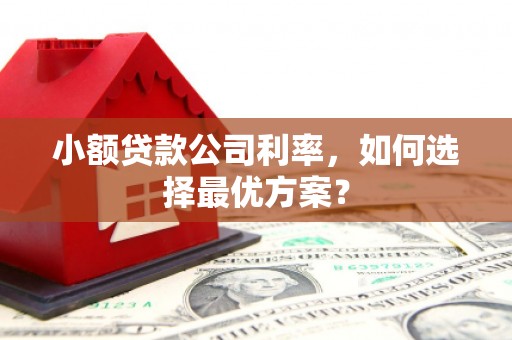 官田小额贷款公司利率，如何选择最优方案？