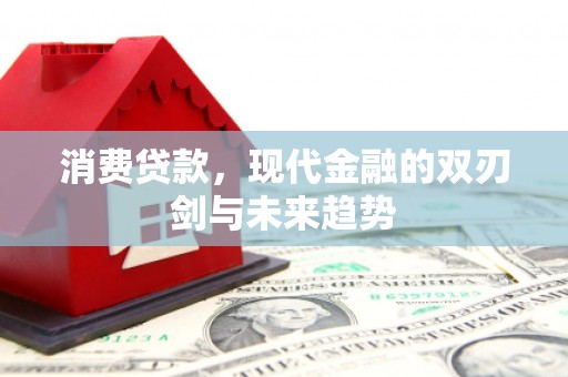 官田消费贷款，现代金融的双刃剑与未来趋势