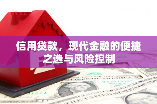 官田信用贷款，现代金融的便捷之选与风险控制
