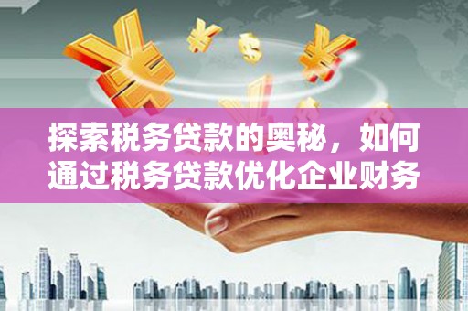官田探索税务贷款的奥秘，如何通过税务贷款优化企业财务