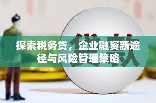 官田探索税务贷，企业融资新途径与风险管理策略