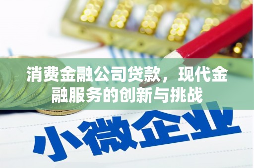 官田消费金融公司贷款，现代金融服务的创新与挑战