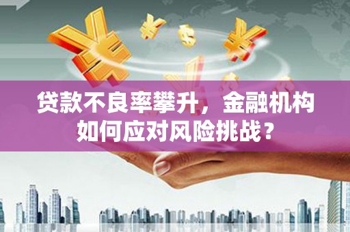 官田贷款不良率攀升，金融机构如何应对风险挑战？