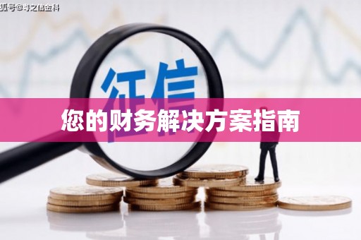 官田您的财务解决方案指南