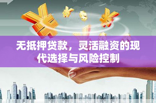 官田无抵押贷款，灵活融资的现代选择与风险控制
