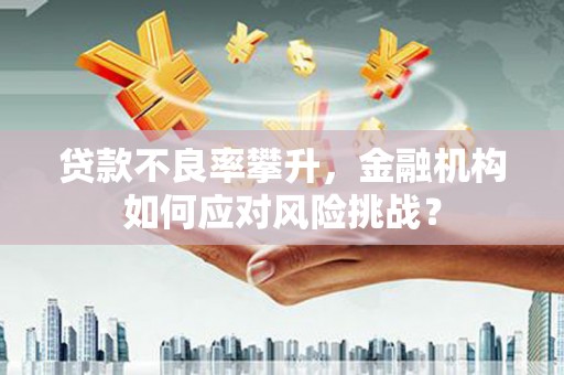 官田贷款不良率攀升，金融机构如何应对风险挑战？