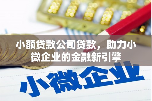 官田小额贷款公司贷款，助力小微企业的金融新引擎