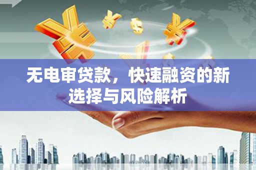 官田无电审贷款，快速融资的新选择与风险解析