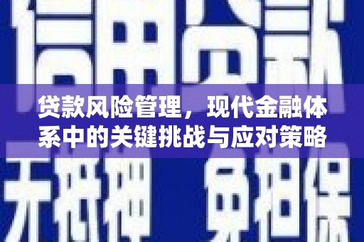 官田贷款风险管理，现代金融体系中的关键挑战与应对策略