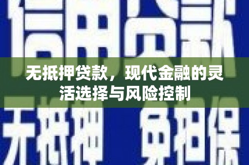 官田无抵押贷款，现代金融的灵活选择与风险控制