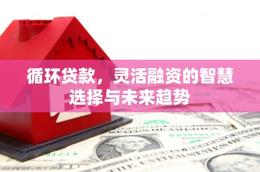 官田循环贷款，灵活融资的智慧选择与未来趋势