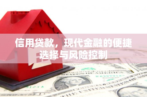 官田信用贷款，现代金融的便捷选择与风险控制