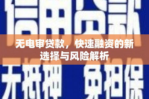 官田无电审贷款，快速融资的新选择与风险解析