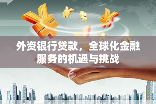 官田外资银行贷款，全球化金融服务的机遇与挑战