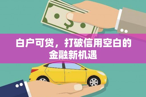 官田白户可贷，打破信用空白的金融新机遇