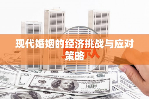 官田现代婚姻的经济挑战与应对策略