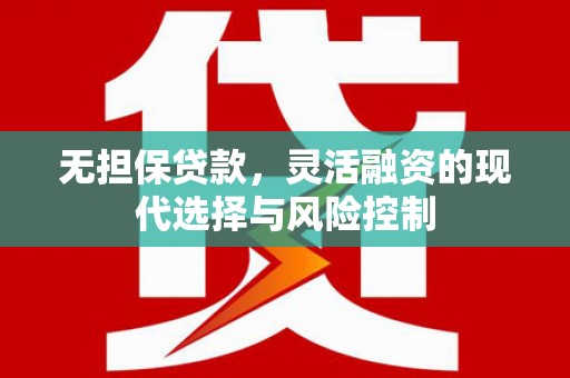 官田无担保贷款，灵活融资的现代选择与风险控制