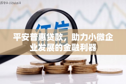 官田平安普惠贷款，助力小微企业发展的金融利器