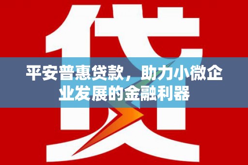 官田平安普惠贷款，助力小微企业发展的金融利器