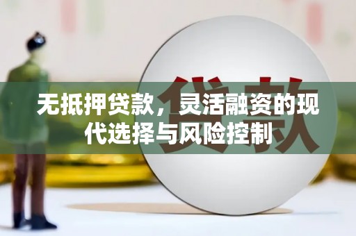 官田无抵押贷款，灵活融资的现代选择与风险控制
