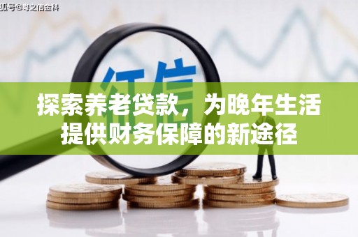 官田探索养老贷款，为晚年生活提供财务保障的新途径