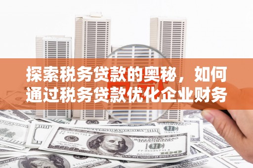官田探索税务贷款的奥秘，如何通过税务贷款优化企业财务