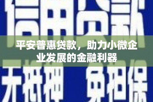 官田平安普惠贷款，助力小微企业发展的金融利器