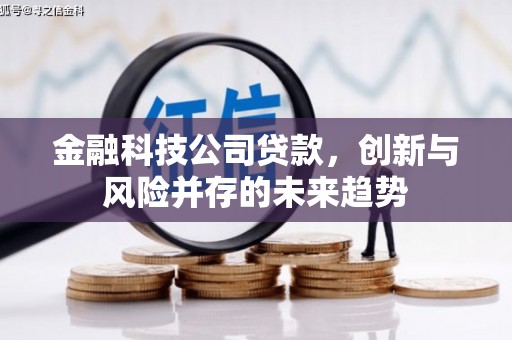 官田金融科技公司贷款，创新与风险并存的未来趋势