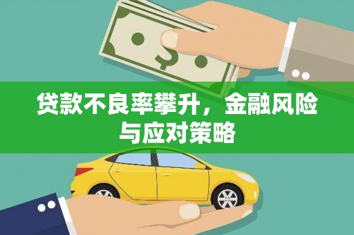 官田贷款不良率攀升，金融风险与应对策略