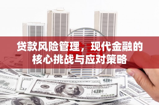 官田贷款风险管理，现代金融的核心挑战与应对策略