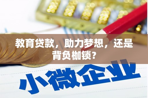 官田教育贷款，助力梦想，还是背负枷锁？
