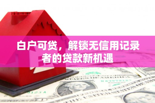 官田白户可贷，解锁无信用记录者的贷款新机遇
